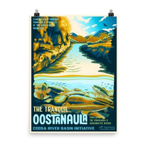 Oostanuala River Art Print